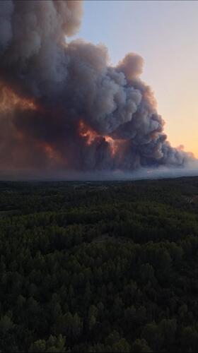 La forêt provençale en feu. Var, juillet 2026 © XDR