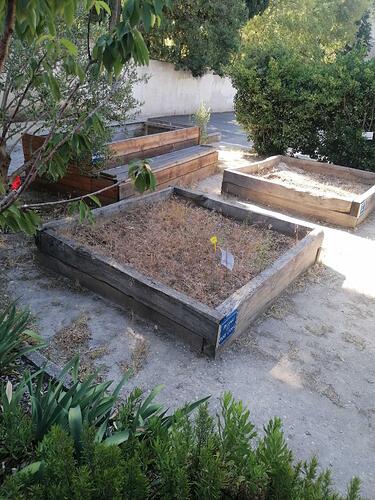 Jardin du collège Saint-Charles Camas à Marseille