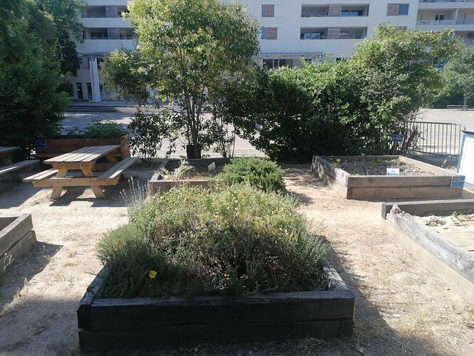 Jardin du collège Saint-Charles Camas à Marseille